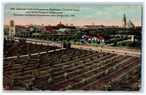 1915 General View Of Expo Citrus Orchard Model Farm Panama San Diego CA Postcard 