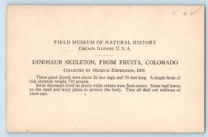 Chicago Illinois IL Postcard Dinosaur Skeleton Field Museum Natural Of History