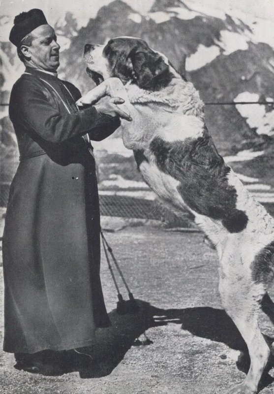 Good Friends Dog With French Priest Vicar Postcard