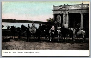 Postcard Minneapolis MN c1907 Ponies at Lake Harriet Horse Riding Carriage