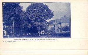 Newark Valley New York Maple Ave Historic Bldgs Antique Postcard K45507