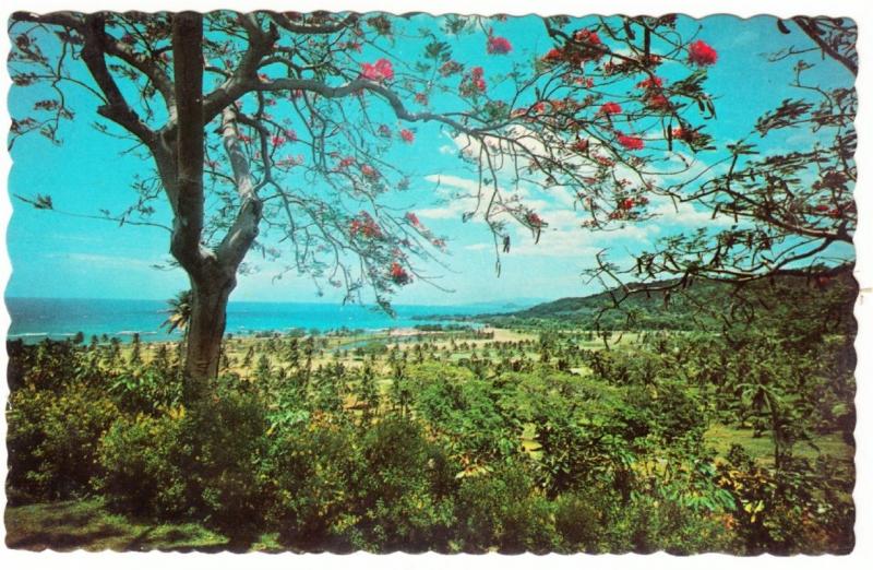 Jamaica Montego Bay Tryall Golf Club 1966 Postcard