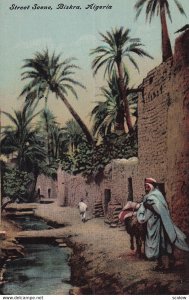 BISKRA, Algeria, 1900-1910s; Street Scene