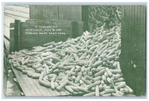 c1910 Carload Of Northrup King & Co's. Sterling White Corn Advertising Postcard