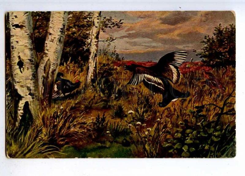 223306 RUSSIA Bird hunting capercaillie ADVERTISING Einem old