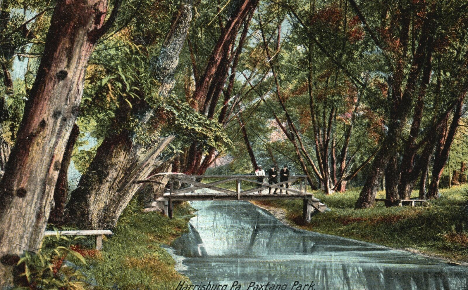 Vintage Postcard 1900's View of The Paxtang Park Harrisburg