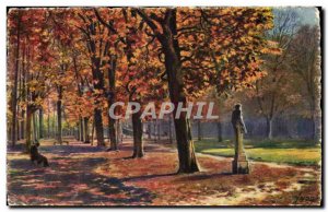 Old Postcard Splendor and delights of Versailles Allee Bacchus