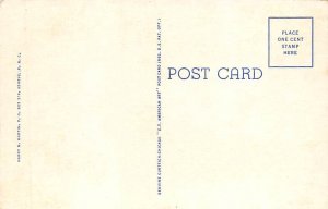 Azaleas in Bloom Misc, North Carolina NC Postcard