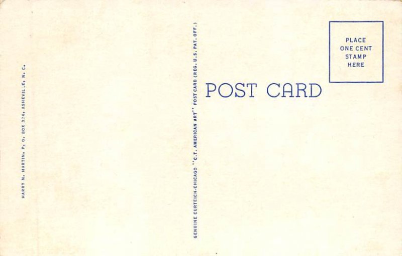 Azaleas in Bloom Misc, North Carolina NC Postcard