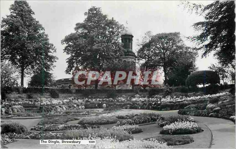 Modern Postcard The Dingle Shrewsbury