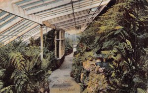 LIVERPOOL ENGLAND~BOTANIC GARDENS-FERN HOUSE~1900s WRENCH SERIES POSTCARD