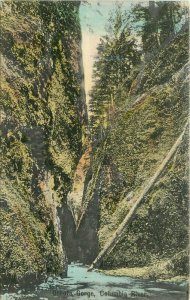 Oregon Columbia River Oneota Postcard Portland hand colored 22-3633