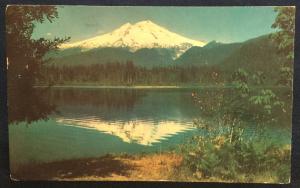 Postcard Used Mt Baker WA LB