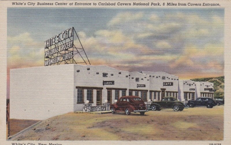 New Mexico White's City Business Center Carlsbad Caverns Entrance Curteich sk273