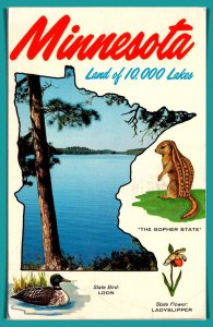 Minnesota - Land Of 10,000 Lakes - [MN-087]