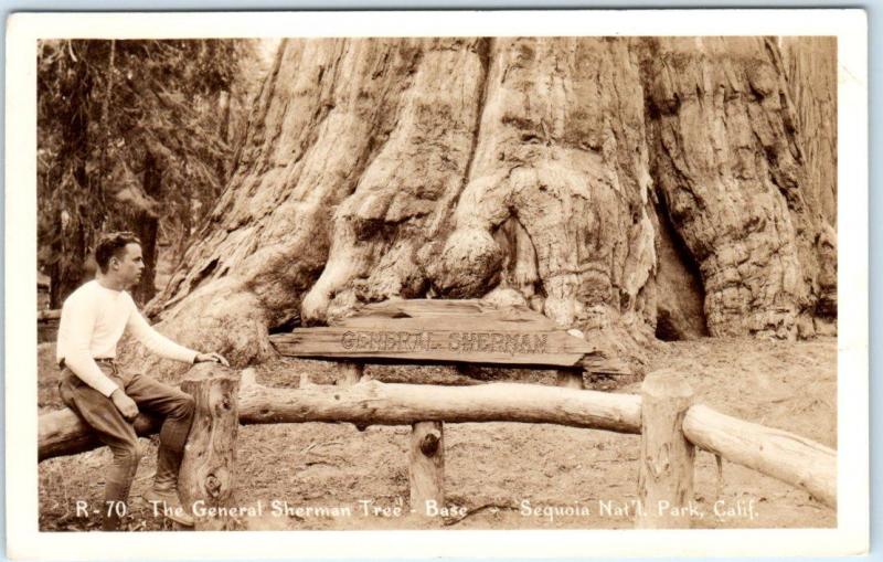 RPPC  SEQUOIA NATIONAL PARK, CA   Base of GENERAL SHERMAN TREE   Postcard