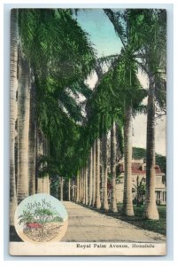 c1905 Royal Palm Avenue Dirt Road Aloha Nui Honolulu Hawaii HI Antique Postcard