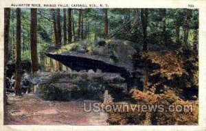 Alligator Rock in Haines Falls, New York