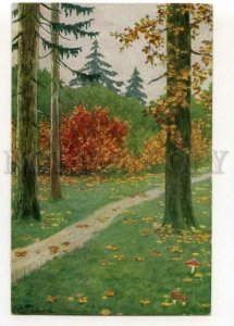 487906 Ploszisky PLOSHINSKY Autumn Forest MUSHROOM Vintage postcard AL #17