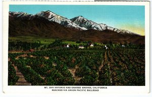 13732 Mt. San Antonio & Orange Groves, California, Union Pacific Pictorial