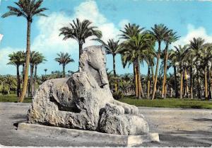 BR100918 memphis the alabaster sphinx egypt africa postcard