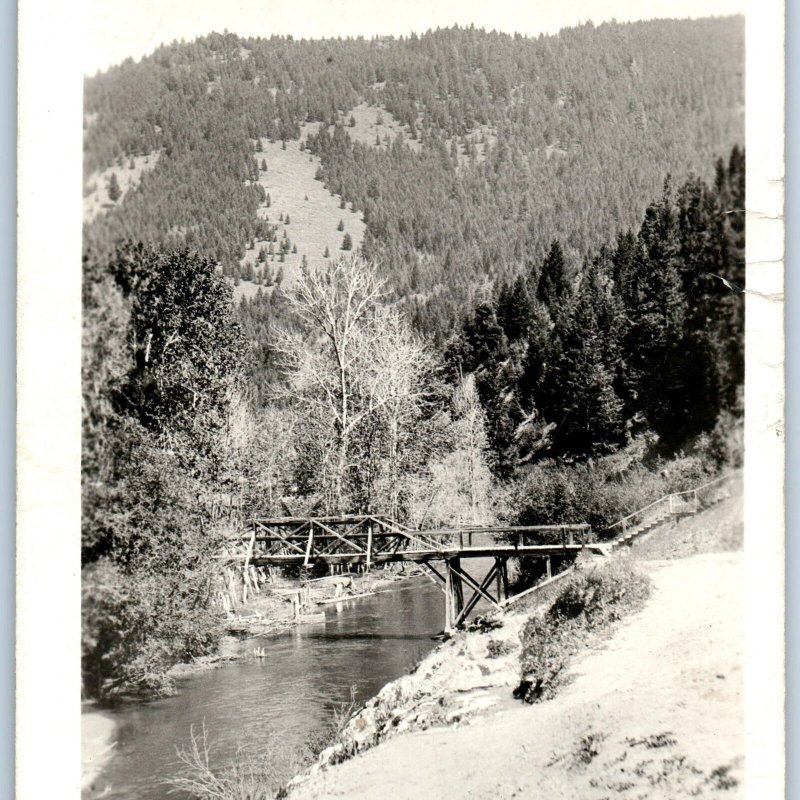 c1910s Small Trail Bridge Walkway RPPC Evergreen Forest Mountain Real Photo A193