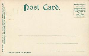 c1905 Chromograph Postcard; Laconia NH, Gale Memorial Library, Belknap County