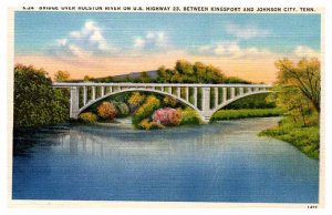 Postcard BRIDGE SCENE Between Kingsport And Johnson City Tennessee TN AP5841