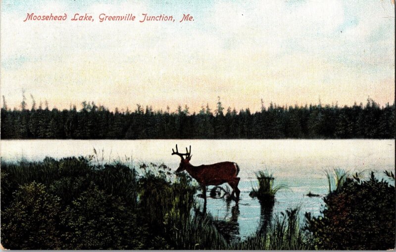 View of Moosehead Lake, Greenville Junction ME UDB Vintage Postcard L51