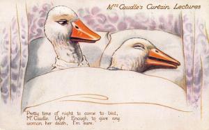 Mrs Caudle's Curtain Lectures White Ducks Raphael Tuck #8683 Postcard