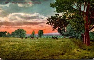 Nevada Ranch Scene Near Reno