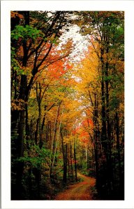 Autumn Road White Mountains New Hampshire Scenic Landscape Chrome Postcard 