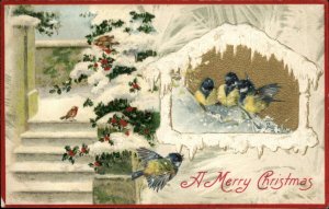 Winsch Christmas Song Birds Blue Birds in Window c1910 Vintage Postcard