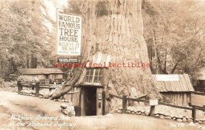 CA, Redwood Highway, California,Lilley Redwood Park,World Famous Tree House,RPPC