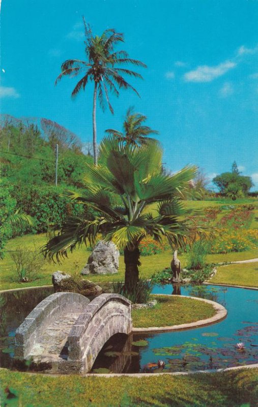 South Shore, Bermuda - Palm Grove Gardens