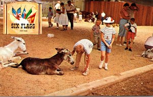 Texas Dallas-Fort Worth Six Flags Over Texas Animal Kingdon U S Section