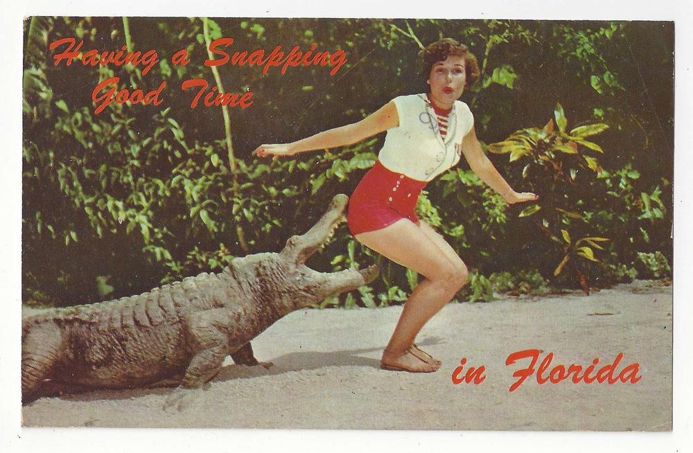 FL Alligator w Woman Having a Snapping Good Time Postcard | United