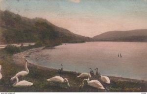 FALMOUTH, Cornwall, England, 1913 ; Swanpool