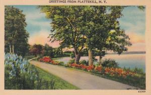 New York Greetings From Plattekill 1943