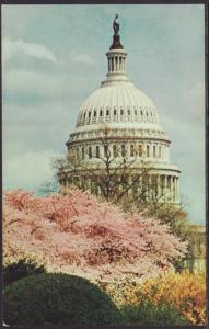 US Capitol,Washington,DC Postcard