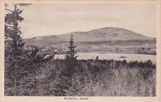 Bluehill Maine Albertype