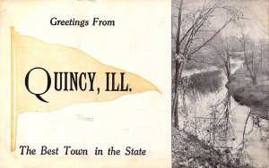Two'Greetings From Quincy Pennant, and Everybody Doing it IL,2 Old Post Cards