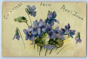 Ames Iowa IA Postcard Greetings Embossed Flowers And Leaves Scene 1907 Antique