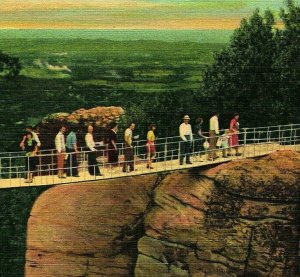 Lookout Mountain TN Rock City Gardens Swing Along Bridge UNP  Linen Postcard Q12