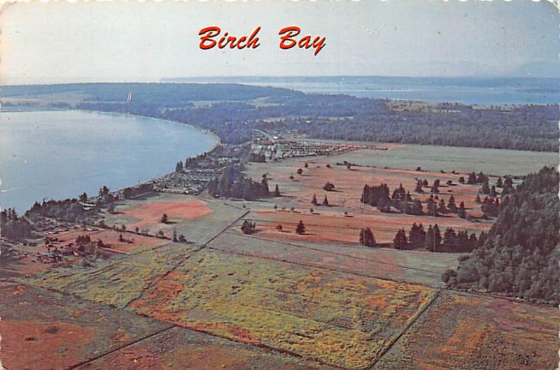 Birch bay - 