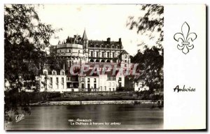 Old Postcard Amboise Le Chateau through the trees