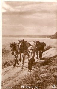 At close of day. Horses Nice old vintage English postcard