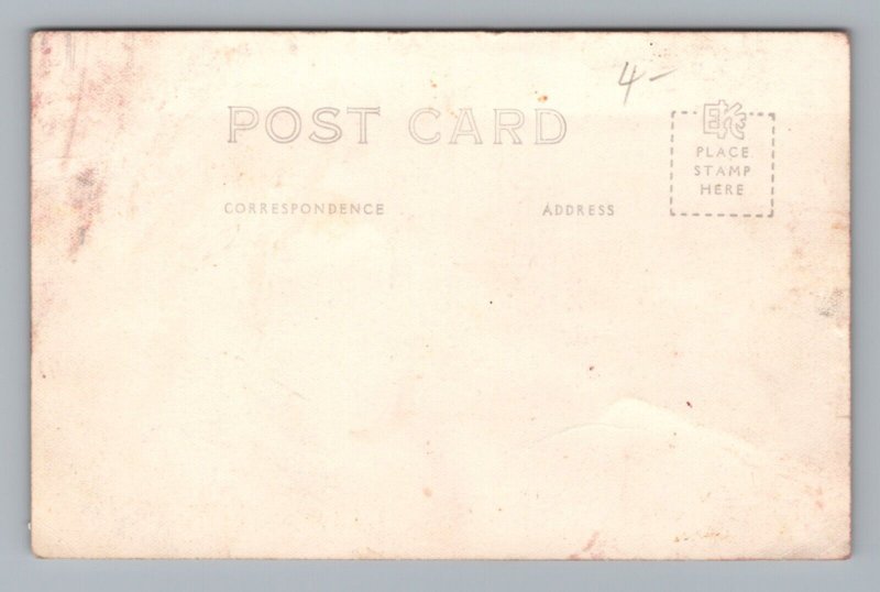 RPPC Tunnel Tree Sequoia Car Drive Thru Redwood Big Tree Highway Postcard 