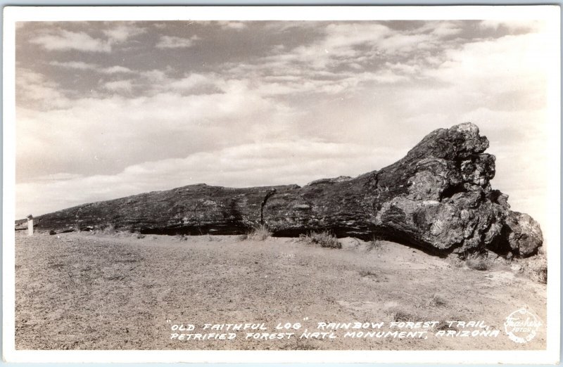 c1940s Petrified Forest, AZ Rainbow Forest Trail Old Faithful Log Postcard A29