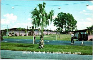 Postcard SWIMMING POOL SCENE Hamer South Carolina SC AM9758